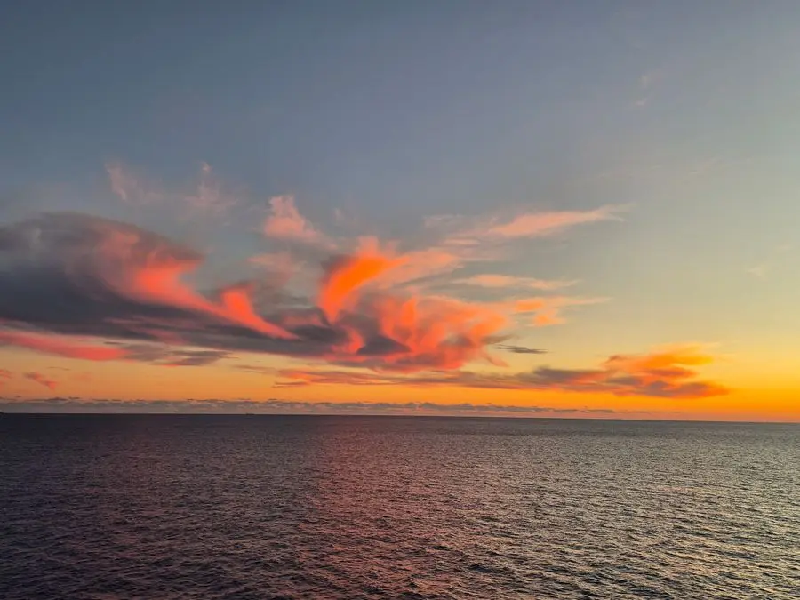 Fotografie a unui pasager la bordul navei MSC Sinfonia