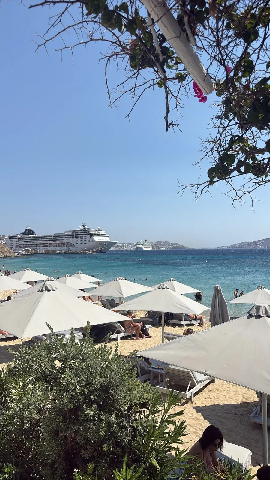 Guest photo aboard MSC Lirica