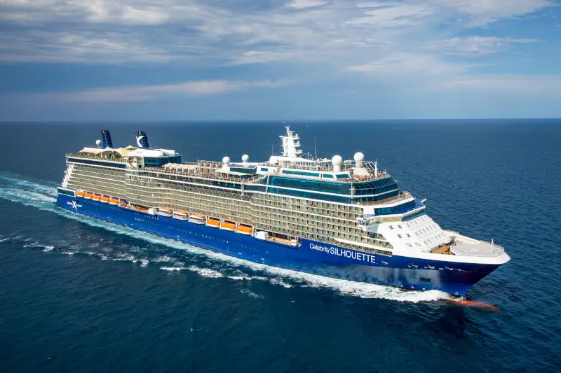 CELEBRITY Celebrity Silhouette - image 10