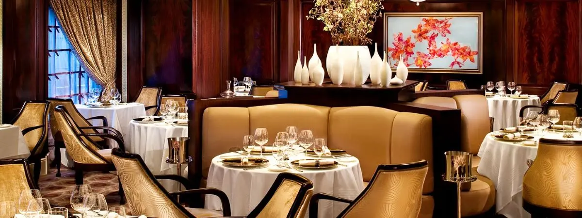 CELEBRITY Celebrity Silhouette - image 12