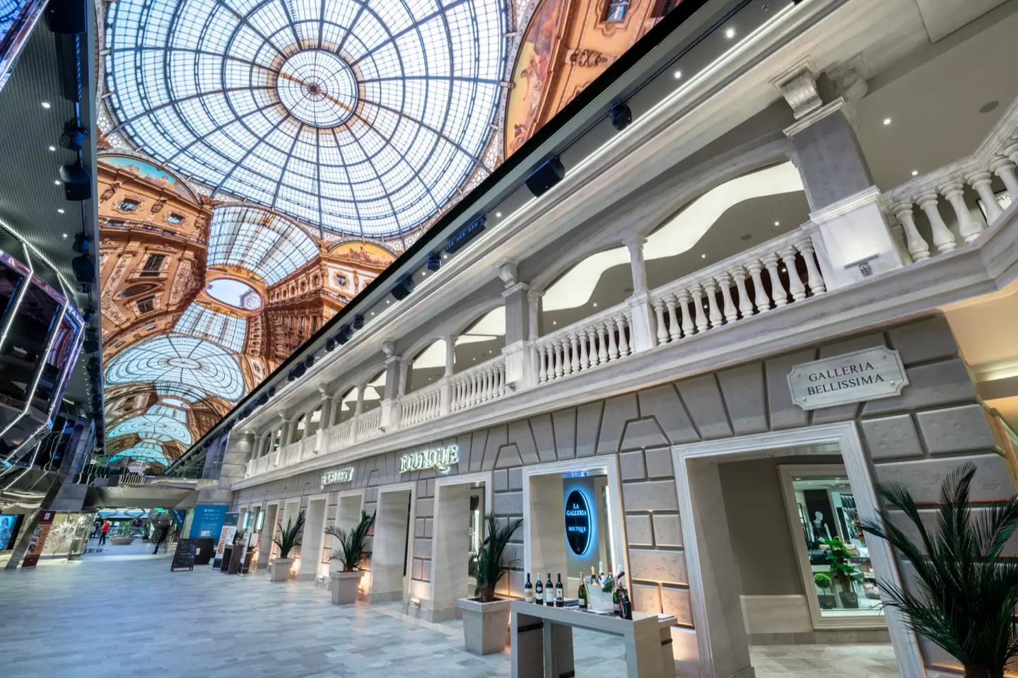 MSC MSC Bellissima - image 10