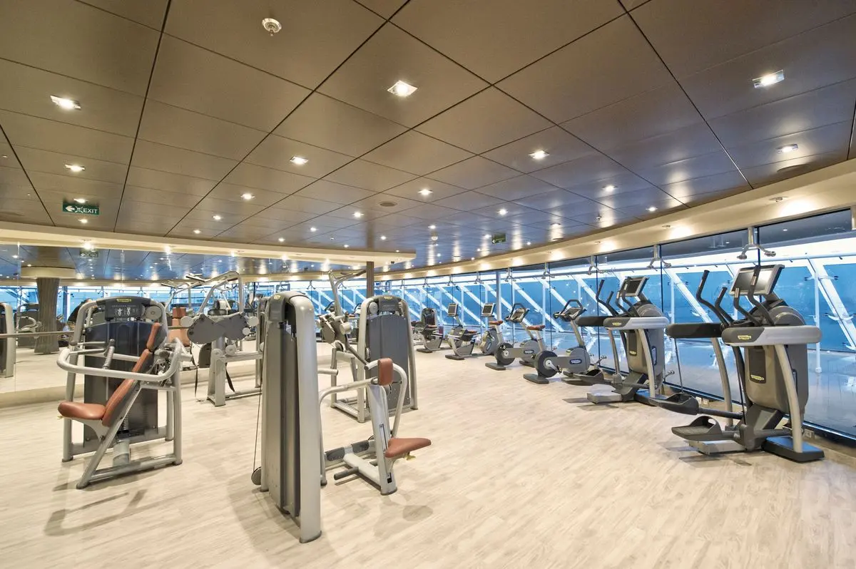 MSC MSC Divina - image 2