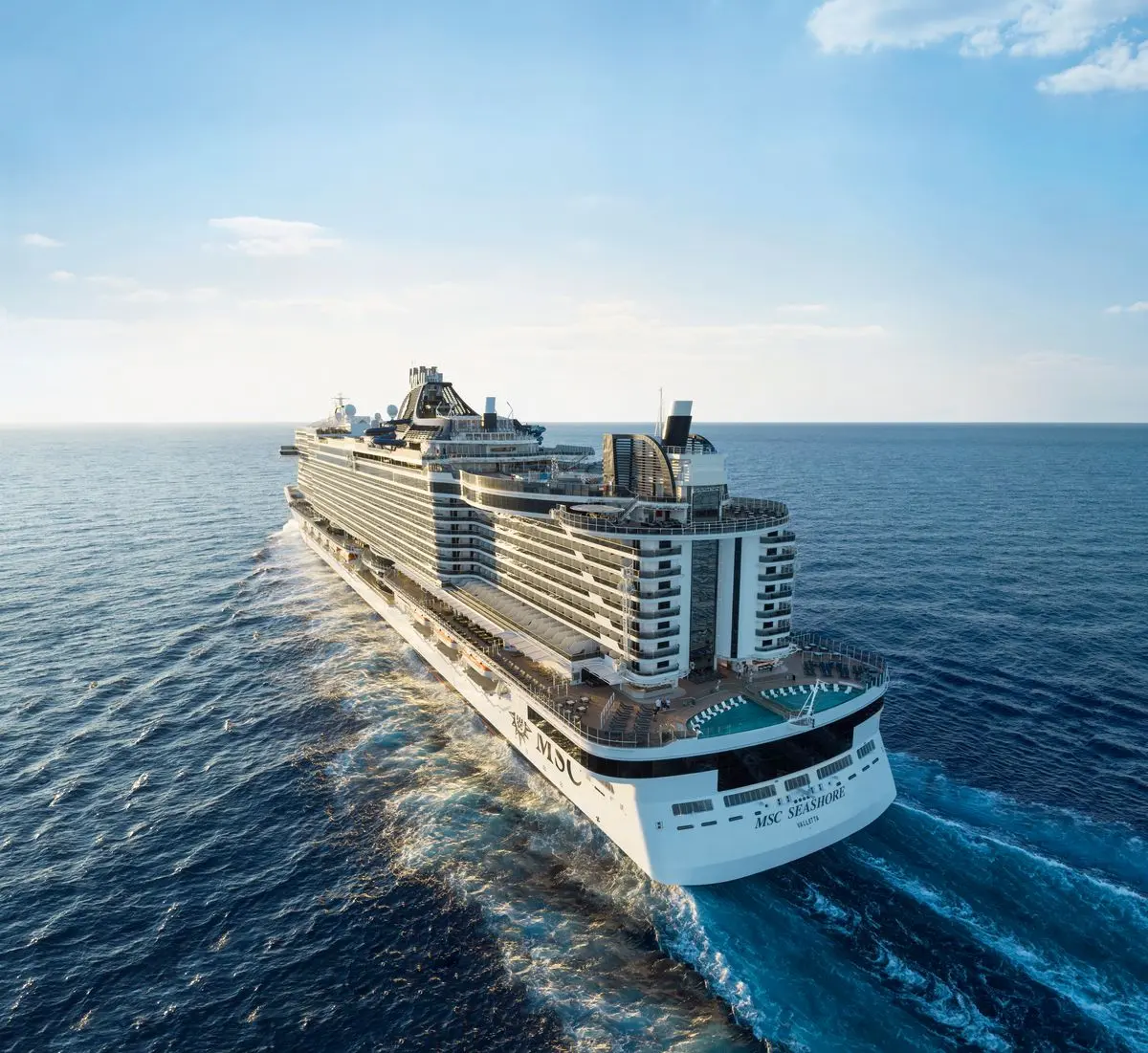 MSC MSC Seashore - image 1
