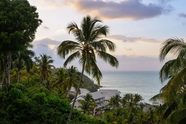 Arroyo Barril (Samana), Dominican Republic