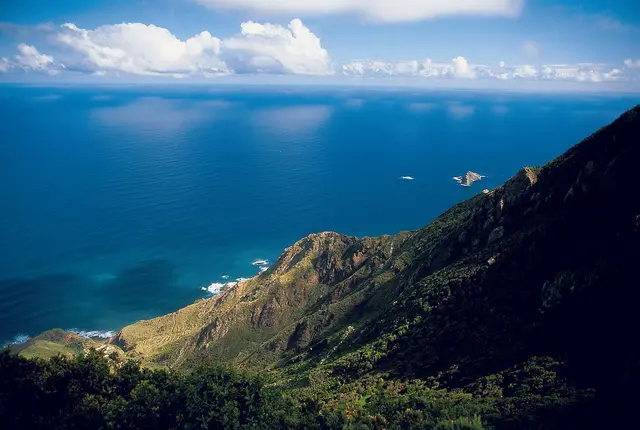 Santa Cruz de Tenerife (Canary Islands), Spain