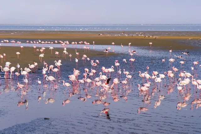 Walvis Bay, Namibia